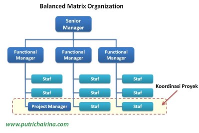 Balanced Matrix Organization