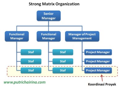Strong Matrix Organization